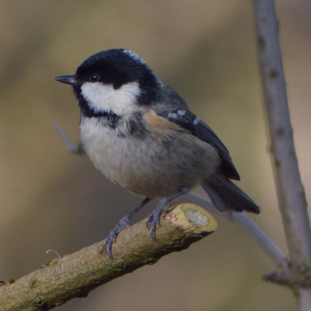 Favourite Nature Photography